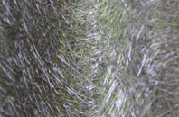 Chalkhouse Green fibreglass roof work